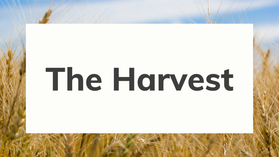 The Harvest