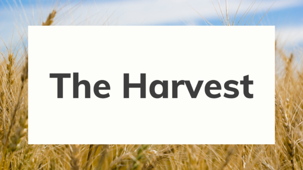 The Harvest Image