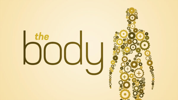 The Body Image