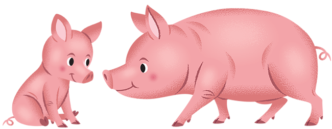 Divider-Pigs